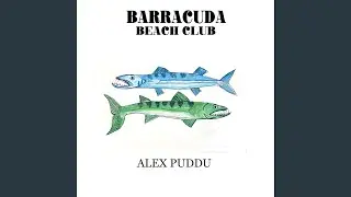 Barracuda Beach Club (Radio Edit)