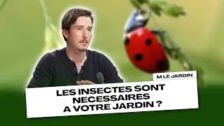 LES INSECTES SONT N&Eacute;CESSAIRES &Agrave; VOTRE JARDIN