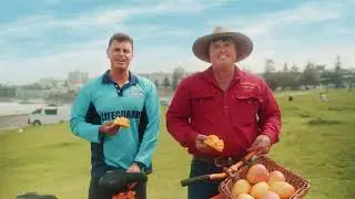Australian Mangoes - Delivering Sunshine