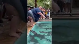 Jump into a pool full of hungry crocodiles!😵⚠️