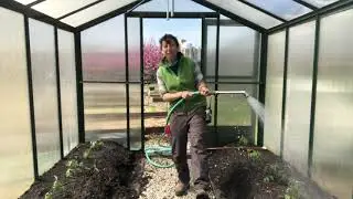 Urban Farm Virtual Tour: Greenhouse Tomatoes