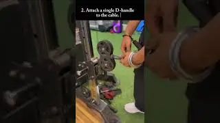 Bayesian curls 💪🏻 #shorts