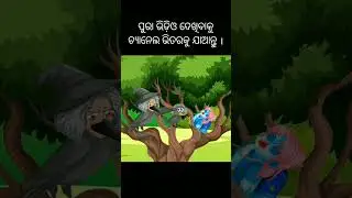 Chadhei Mundare Ukuni Odia Story Odia gapa