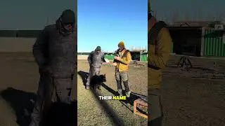 #dogrecall #dogtrainingtips
