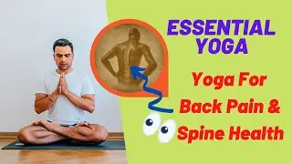 Yoga for Back Pain - Spinal Health Yoga | Essential Yoga Sunday