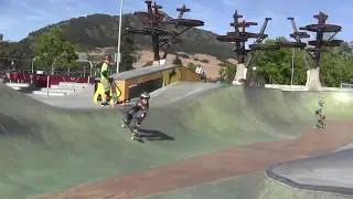 Skate2015