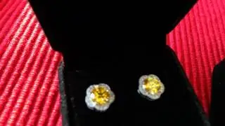 ORROUS & CO Legacy Collection Flower Halo Stud on Amazon