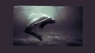 [FREE] Deep Trap Type Beat 
