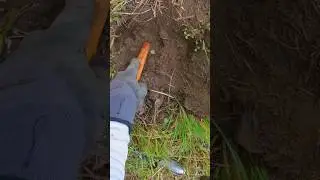 I'm Dying When She Finds Another Silver Half Dime! Metal Detecting