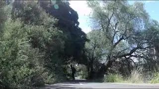 Riverslide Skate Park & Botanical Gardens