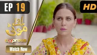 Pakistani Drama | Oye Motti - Episode 19 | Nosheen Shah, Aamir Qureshi, Adeel Abbas | IAD1O