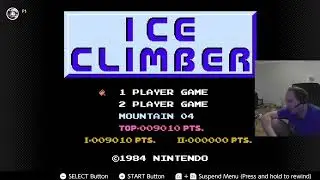Ice Climber (NES) on Nintendo Switch Online
