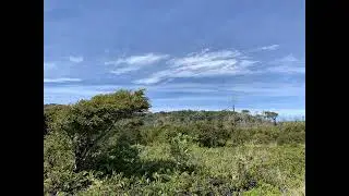 mix1