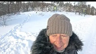 Грибний ліс взимку