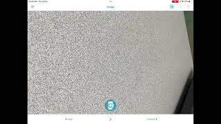Using the SayHi Translation App