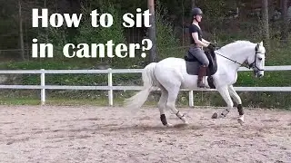 Canter seat: How to sit in canter + typical mistakes! (+slow motion)
