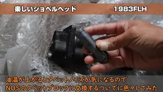 ショベルヘッド　タペットブロックをNOSに交換するついでに色々してみたらカムも交換になった　分解チェック編