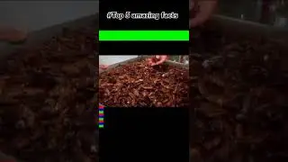 amazing facts about cockroach #facts#viralshorts
