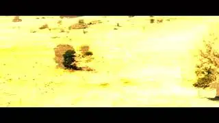 Rogue Trailer (2020)