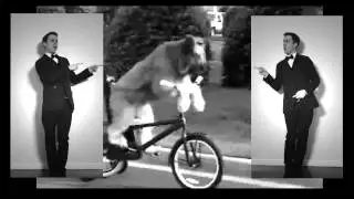(Puppies Are So) Cute I die - Suit & Tie Parody