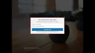 MailOptin - WordPress Popups, Email Optin Forms & Newsletters Plugin