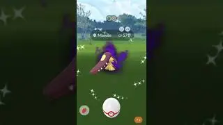 ✨ Shiny Shadow Mawile ✨ Caught after a Face-Off with Team Rocket Leader Arlo [Pokemon GO] #shorts