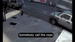 I'm going to jail now because of you (bee)