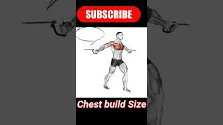 How to increase Chest Size