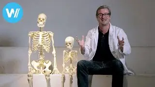 What happens to us when we die? | 
