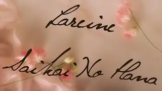 Lareine ✾ Saikai No Hana ✾ (Lyrics/Romaji)