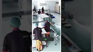 Palm Leaf Plates with Purpose | The Power Behind the Process