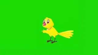 Bird cartoon character No Copyright Green Screen Cartoon Bird/Green Screen Bird/Cartoon  #green