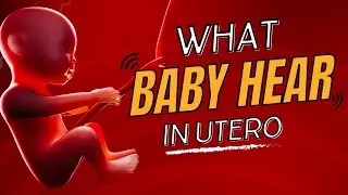 Fetal Sense of Hearing || What your Baby can Hear in Utero