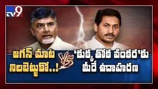High Voltage: Y.S Jagan Vs Chandrababu in AP Assembly - TV9