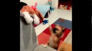 Las Aventuras de Rambo