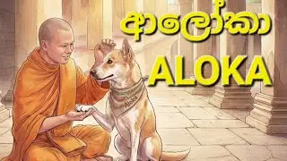 Aloka the peace dog ❤️  #foryou #viral #trending #alokathepeacedog #walkforpeace #usa 
