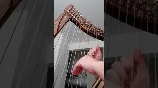 Harp Progress Month 1 - Adult Beginner