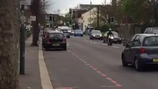 Cat killer continues to terrorise South London pet owners