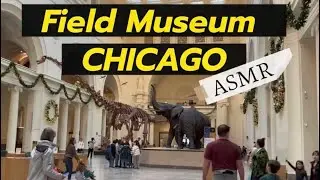 ASMR Field Museum Chicago Tour | Whispering Walkthrough & Ambient Sounds 