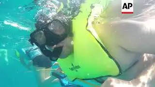 Finding The Afterlife In A Coral Reef Cemetery