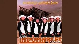 Huapango Guadalajara