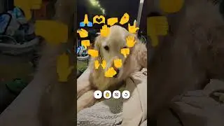 what hand movement to show malley