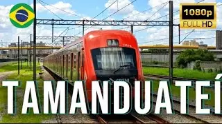 Estação Tamanduateí | Movimentação de Trens #117 (🔵 Linha 10 Turquesa e 🟢 Linha 2 Verde)!!