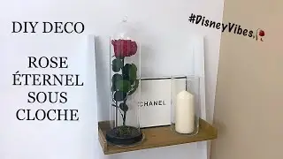 DIY ROSE ETERNEL SOUS CLOCHE 🥀 DISNEY VIBES | SAPHIR BEAUTY