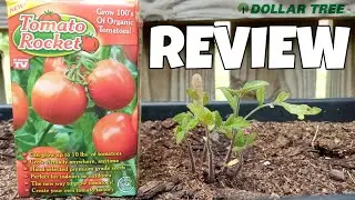 Dollar Tree Tomato Rocket REVIEW