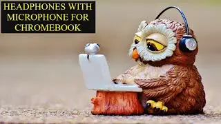 Headphones With Microphone For Chromebook - How To Connect A USB Microphone To A Chromebook Watch