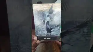 No Ducking or Dodging. Only Moving In Dominance 