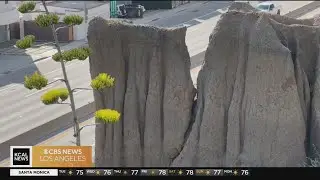 Road closures along Pacific Coast Highway in Santa Monica for bluff removal
