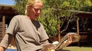 Lawnwood Snake Sanctuary - In the Crags on the Garden Route of South Africa