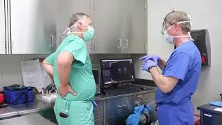 Zoo Knoxville gorilla visits UTCVM to explore a cartilage lesion